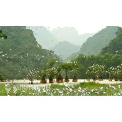 Sai phạm khi quản lý khu bảo tồn thiên nhiên thì phải chiu trách nhiệm như thế nào?