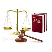 Kỹ thuật lập pháp về cơ cấu của Dự thảo Phần chung Bộ luật Hình sự tương lai 