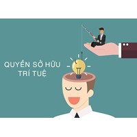 Tổ chức, cấu trúc và những thách thức mới của cơ quan sở hữu trí tuệ?