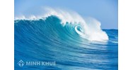 Tìm hiểu chế độ pháp lý về đại dương trong Luật quốc tế hiện đại