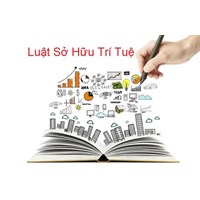 Cấp bằng độc quyền sáng chế cần xét nghiệm hình thức, tra cứu nội dung thế nào?