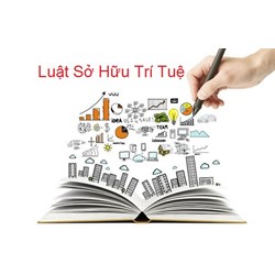 Cấp bằng độc quyền sáng chế cần xét nghiệm hình thức, tra cứu nội dung thế nào?