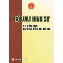 Hệ thống các văn bản pháp luật hình sự ghi nhận những giải thích (hoặc) hướng dẫn có tính chất chỉ đạo của Tòa án nhân dân tối cao
