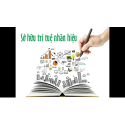 Giải pháp toàn cầu với bằng độc quyền sáng chế quốc tế và hoạt động đăng ký nhãn hiệu?