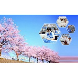 Hệ thống an sinh xã hội tại Nhật Bản và kinh nghiệm cho Việt Nam