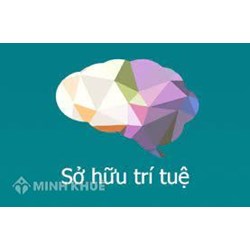 Chủ sở hữu và những nội dung của quyền sở hữu công nghiệp 