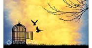 Sự suy tàn của chủ nghĩa Trọng thương và sự quá độ lên chủ nghĩa tự do ở Anh