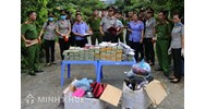 Biện pháp tư pháp là gì? Đặc điểm của biện pháp tư pháp và một số bất cập trong áp dụng biện pháp tư pháp trong BLHS 2015
