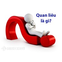 Thể chế quan liêu là gì? Theo ông Maximilian Karl Emil Weber quan điểm về thể chế quan liêu