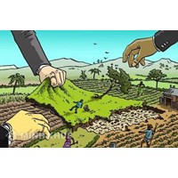 Giao đất, cho thuê đất, chuyển mục đích sử dụng đất 