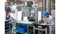 Hệ thống thông tin thị trường lao động là gì? Thông tin thị trường lao động bao gồm nội dung gì?