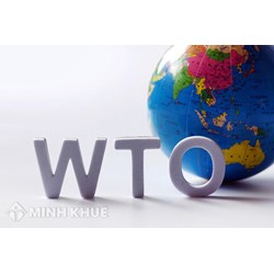 Thực tiễn áp dụng cơ chế giải quyết tranh chấp thương mại quốc tế của WTO 