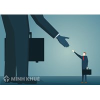 Các mô hình tổ chức doanh nghiệp phổ biến