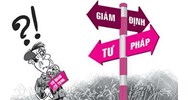 Thẩm quyền, thủ tục trưng cầu giám định tư pháp và bảo đảm sự vô tư, khách quan