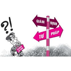 Thẩm quyền, thủ tục trưng cầu giám định tư pháp và bảo đảm sự vô tư, khách quan