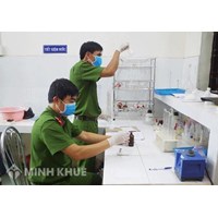 Quy định về kết luận giám định trong hoạt động tố tụng dân sự.