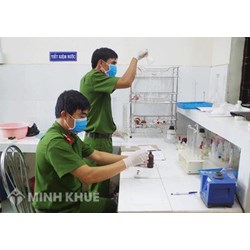 Quy định về kết luận giám định trong hoạt động tố tụng dân sự.