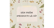 Sản phẩm (product) là gì ?