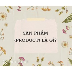 Sản phẩm (product) là gì ?