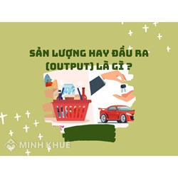 Sản lượng hay đầu ra (output) là gì ?