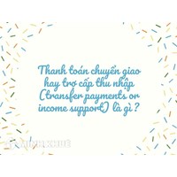 Thanh toán chuyển giao hay trợ cấp thu nhập (transfer payments or income support) là gì ?