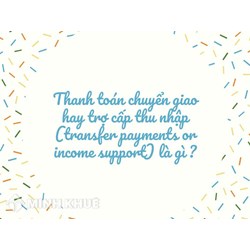 Thanh toán chuyển giao hay trợ cấp thu nhập (transfer payments or income support) là gì ?