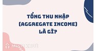 Tổng thu nhập (aggregate income) là gì ?