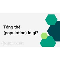 Tổng thể (population) là gì? Cho ví dụ về tổng thể