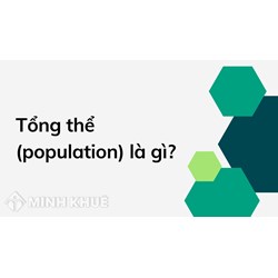 Tổng thể (population) là gì? Cho ví dụ về tổng thể