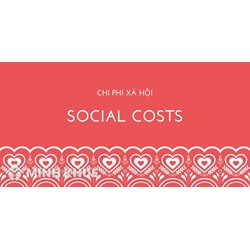Tổn thất xã hội hay chi phí xã hội (social costs) là gì? Ví dụ
