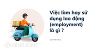 Việc làm hay sử dụng lao động (employment) là gì ?