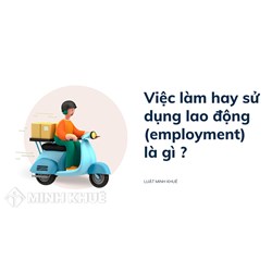 Việc làm hay sử dụng lao động (employment) là gì ?