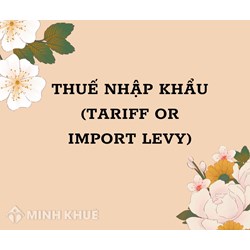 Thuế nhập khẩu tiếng anh là gì? Tariff or import levy nghĩa là gì?