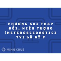 Phương sai thay đổi, hiện tượng (Heteroscedasticity) là gì?