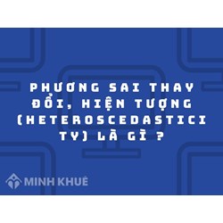 Phương sai thay đổi, hiện tượng (Heteroscedasticity) là gì?