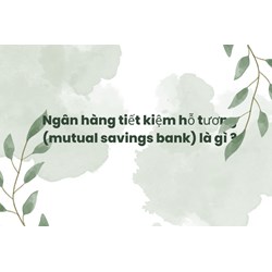 Ngân hàng tiết kiệm hỗ tương (mutual savings bank) là gì ?