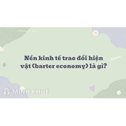 Nền kinh tế trao đổi hiện vật là gì? Barter economy nghĩa là gì?