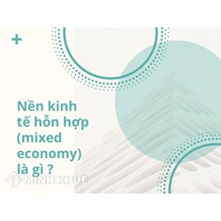 Nền kinh tế hỗn hợp (mixed economy) là gì? Ưu nhược điểm là gì?