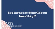 Lực lượng lao động (labour force) là gì ?