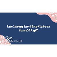 Lực lượng lao động (labour force) là gì ?