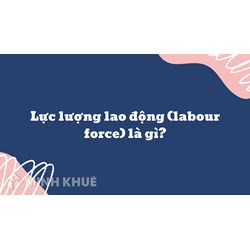 Lực lượng lao động (labour force) là gì ?