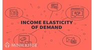 Hệ số co giãn thu nhập của nhu cầu (income elasticity of demand) là gì?