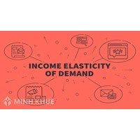 Hệ số co giãn thu nhập của nhu cầu (income elasticity of demand) là gì?