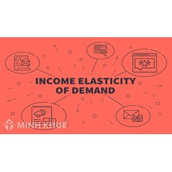 Hệ số co giãn thu nhập của nhu cầu (income elasticity of demand) là gì?