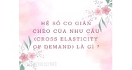Hệ số co giãn chéo của nhu cầu (cross elasticity of demand) là gì?