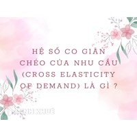 Hệ số co giãn chéo của nhu cầu (cross elasticity of demand) là gì?