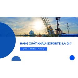 Hàng xuất khẩu (exports) là gì ?