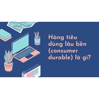 Hàng tiêu dùng lâu bền (consumer durable) là gì ?