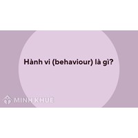 Hành vi (behaviour) là gì ?