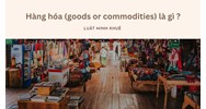Hàng hoá (goods or commodities) là gì ?
